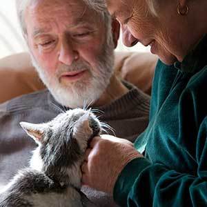 old couple with cat