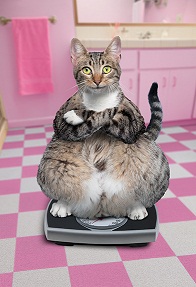 Fat-Cat