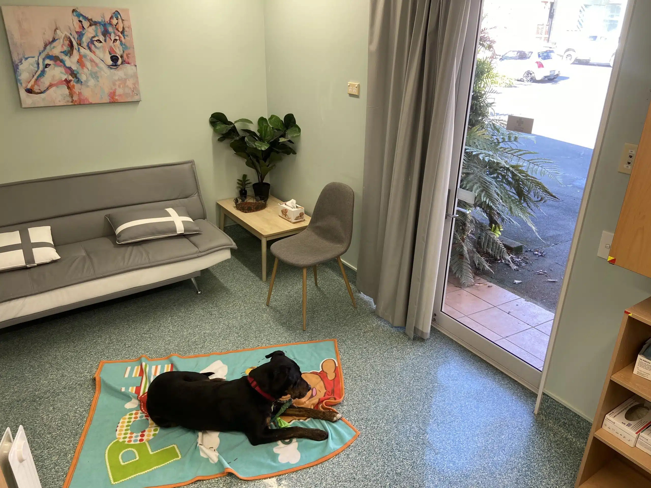 Arlo in room 4