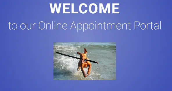 Vet online booking portal Nelson New Zealand